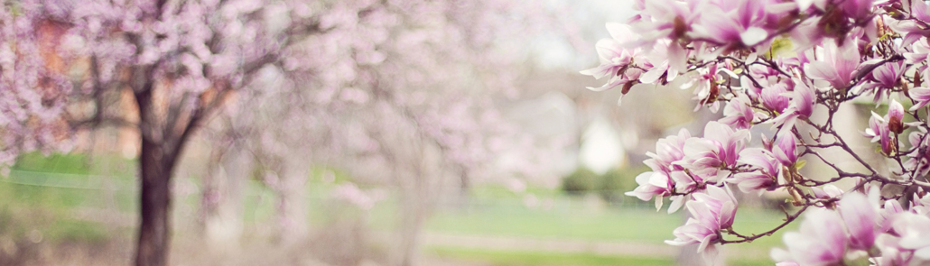 En primavera, los buenos gestos para hacer frente a las alergias
